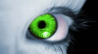 كيف أتخلص من حسد الناس