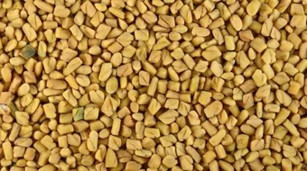 كيف أتخلص من رائحة الحلبة