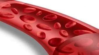 كيف أزيد دمي