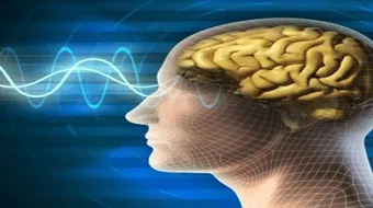 كيف أحافظ على ذاكرتي