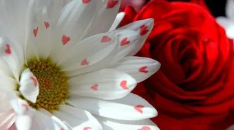 كيف أعرف أحداً يحبني