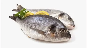 كيف أعرف أن السمك طازج