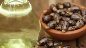 كيف أعرف زيت الخروع الأصلي