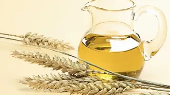 كيف أعرف زيت جنين القمح الأصلي