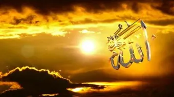 كيف اعرف ارادة الله