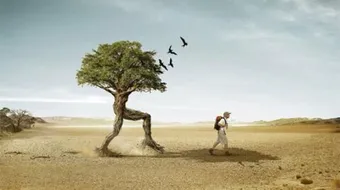 كيف أتخذ قراراً مصيرياً