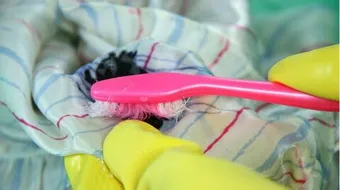 كيف أزيل الطباعة من الملابس