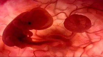 كيف أعتني بجنيني في الشهر الاول