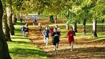 كيف نحافظ على الجهاز التنفسي