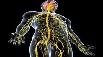 كيف نحمي جهازنا العصبي