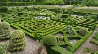 كيف نحافظ على سلامة البيئة