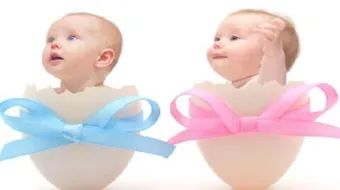 كيف تعرف الجنين ذكر أم انثى