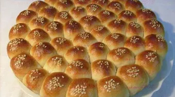 كيف تعمل خلية النحل