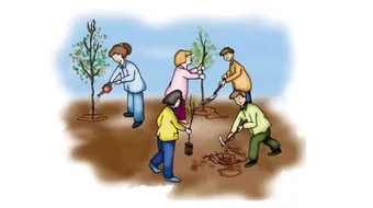 كيف يؤثر الإنسان على البيئة