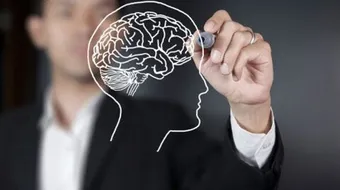 كيف يفكر عقل الإنسان