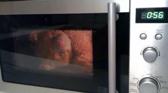 كيف يعمل الميكروويف