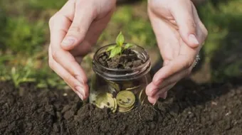 كيف تحقق الزكاة التضامن والتكافل الاجتماعيين