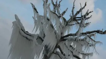 كيف يتكون المطر المتجمد