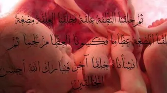 كيف خلق الله الانسان