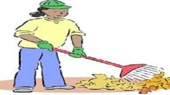 ما أهمية النظافة