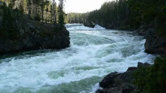 ما أهمية الماء في حياتنا