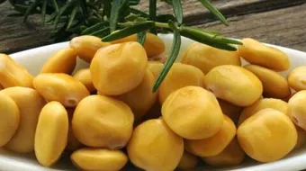 طريقة عمل الترمس المستورد