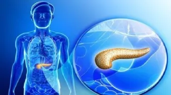 آلية عمل الإنسولين