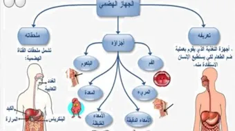 كيف يتم الهضم