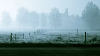 كيف يتكون الضباب