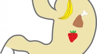 كيف أصغر معدتي بدون جراحة