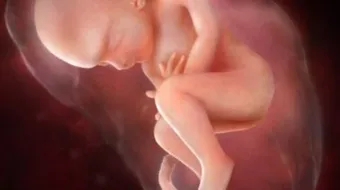 كيف تكون حركة الجنين في الشهر السابع من الحمل