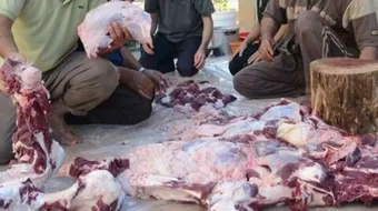 كيف يتم توزيع الاضحية