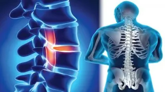 كم عدد عظام العمود الفقري