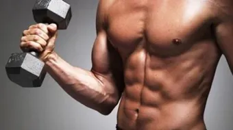 كم عدد أعضاء جسم الإنسان