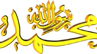 ما عدد أزواج الرسول