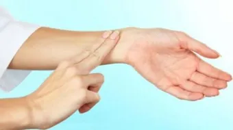 كم عدد ضربات القلب الطبيعي