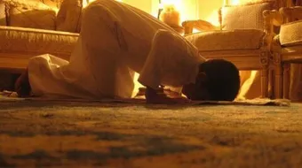 كم عدد سجدات السهو