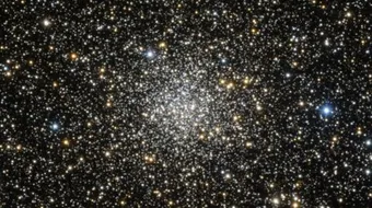 كم عدد النجوم