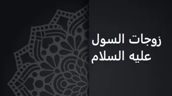 كم كان عدد زوجات الرسول عند وفاته