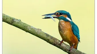 كيف يرزقك الله