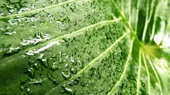 كيف تتكون الرطوبة