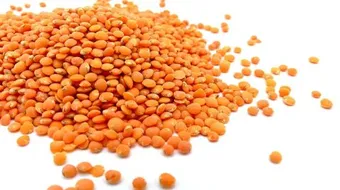 كم يحتوي العدس على بروتين