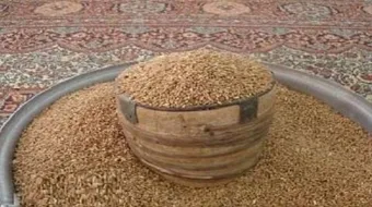 كم زكاة الفطر