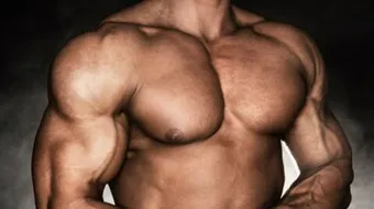 كيف تحصل العضلات على الطاقة اللازمة لانقباضها وانبساطها