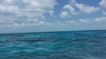 كيف تتحرك مياه المحيطات