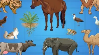 كيف تؤثر الكائنات الحية على حياتنا