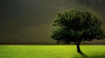 كيف نزل سيدنا آدم إلى الأرض