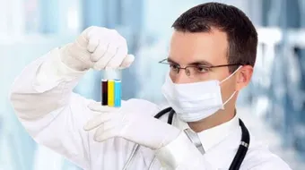 كيف يعمل العلماء