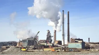 كيف يلوث الدخان البيئة