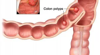 ما طول الجهاز الهضمي